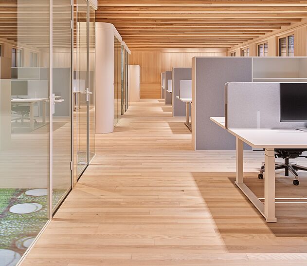 Diverse Arbeitsplätze mit höhenverstellbaren Tischen und Akustik-Sichtschutzwänden im Haus des Holzes.